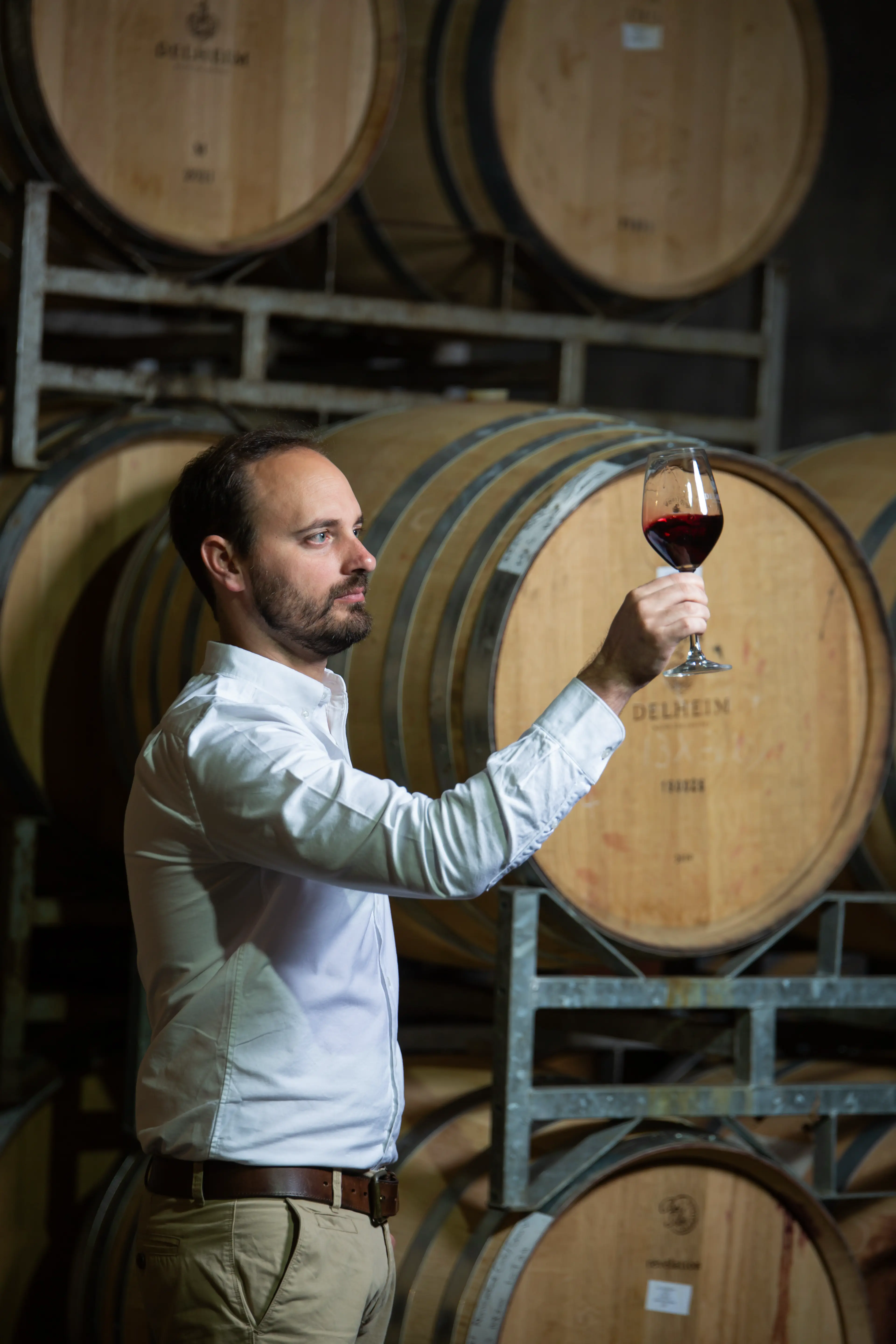 Winzer des Weingut Delheim in Südafrika, Stellenbosch