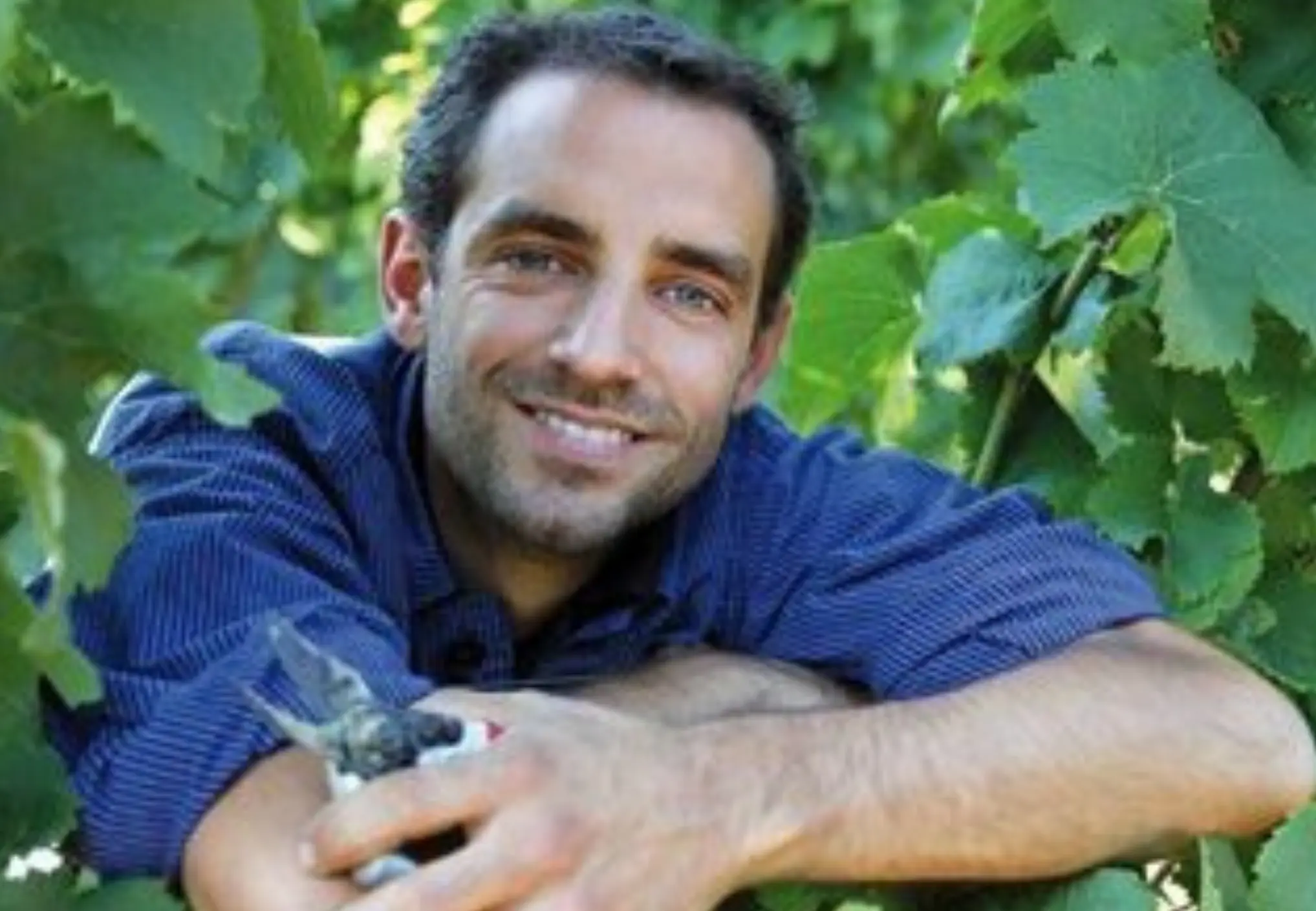 Winzer des Weingut Ellermann-Spiegel in Deutschland, Pfalz