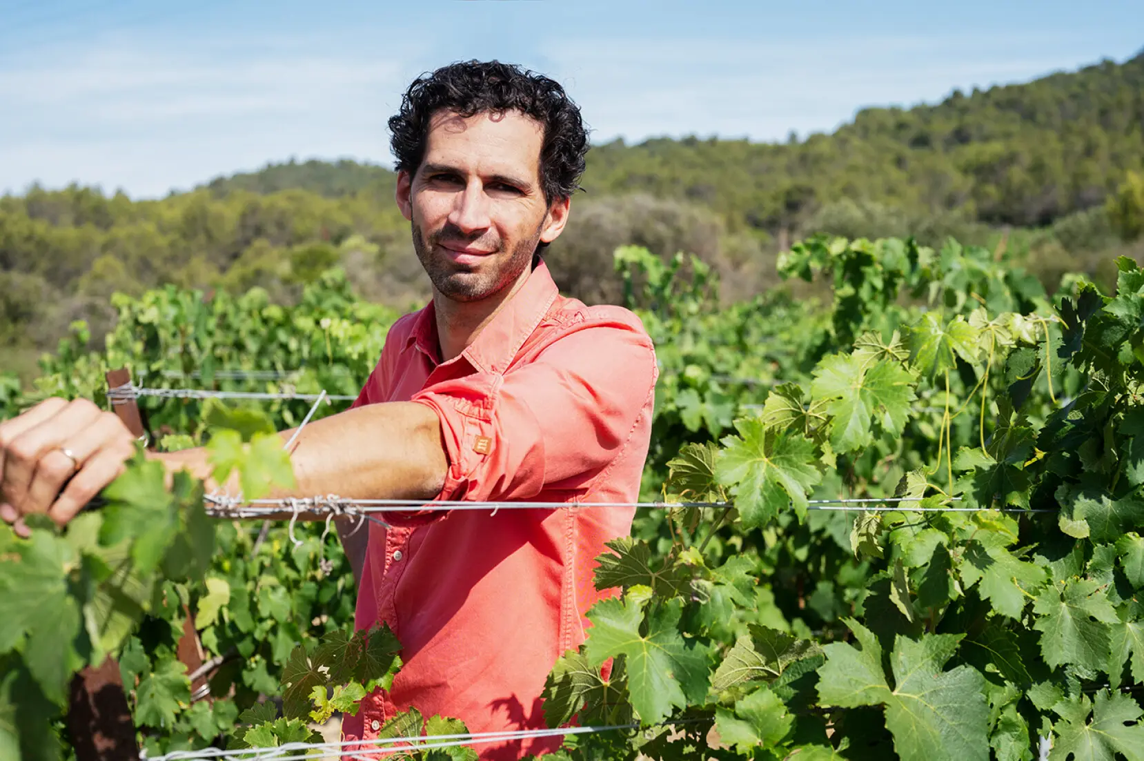 Winzer des Weingut Fortant De France in Frankreich, Languedoc-Roussillon