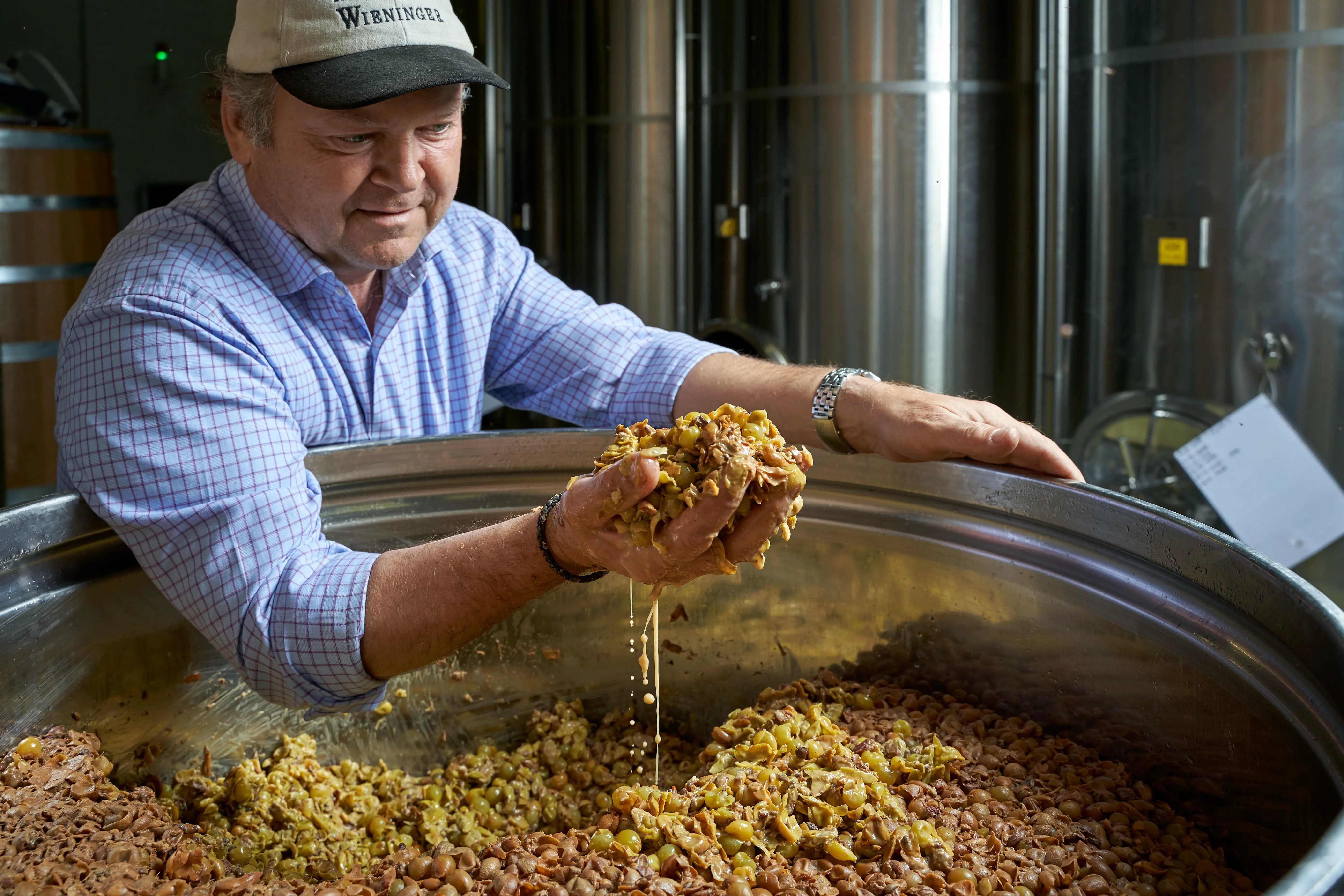 Winzer des Weingut Fritz Wieninger in Österreich, Wien