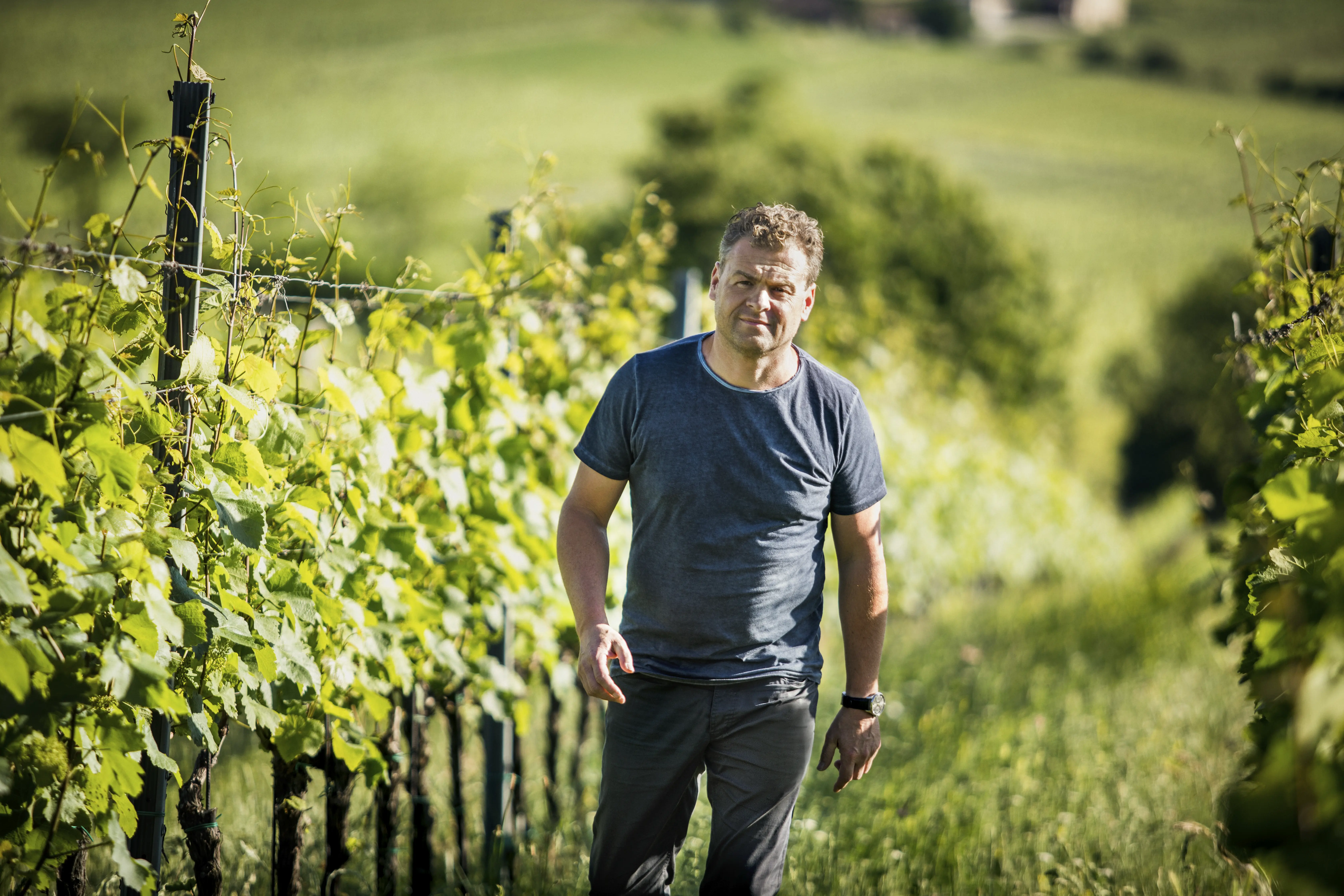 Winzer des Weingut Gerhard Markowitsch in Österreich, Carnuntum