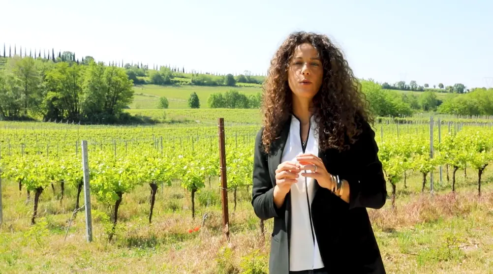 Winzer des Weingut Azienda Agricola Gorgo in Italien, Venetien