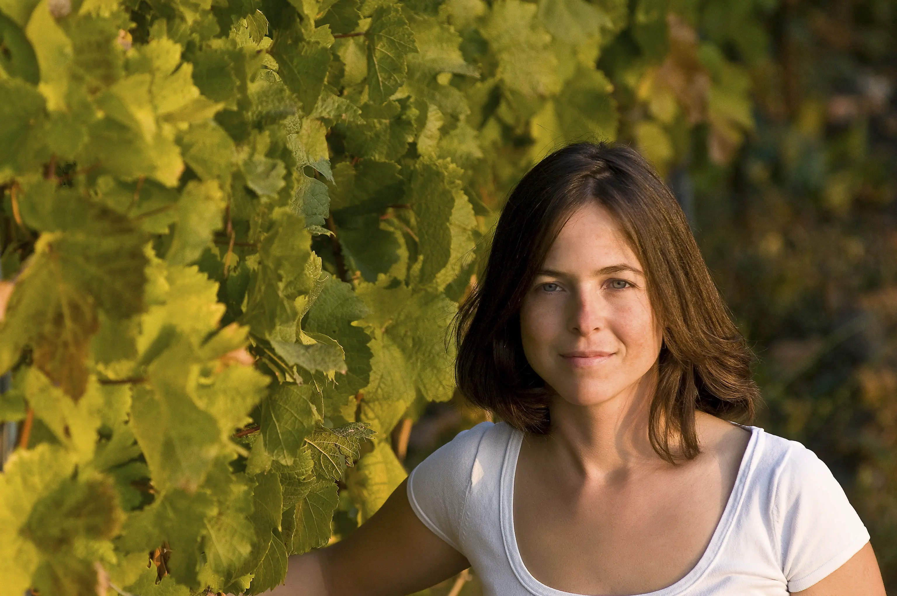 Winzer des Weingut Ingrid Groiss in Österreich, Weinviertel