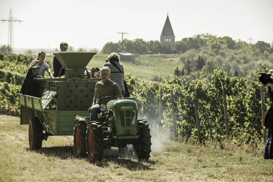 Winzer des Weingut Joachim Flick in Deutschland, Rheingau