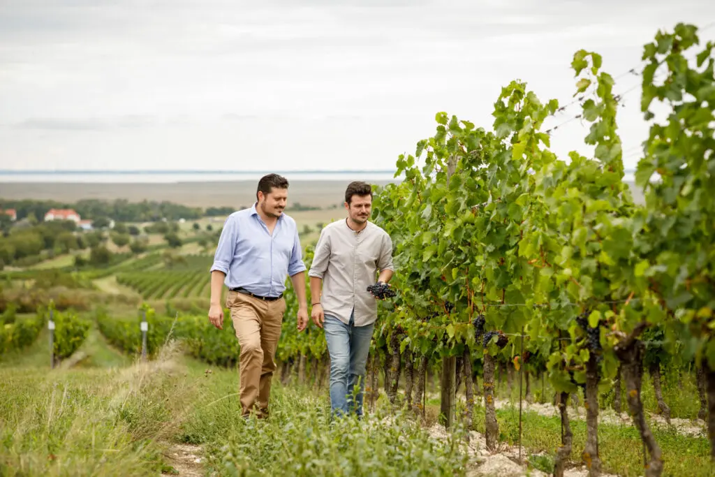 Winzer des Weingut MAD in Österreich, Burgenland