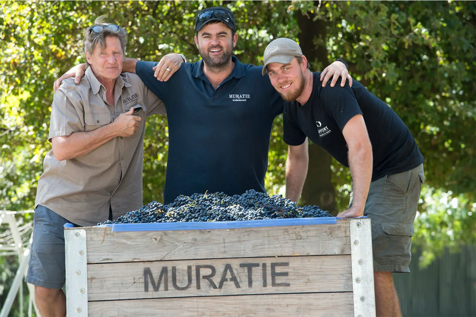 Winzer des Weingut Muratie Estate in Südafrika, Stellenbosch