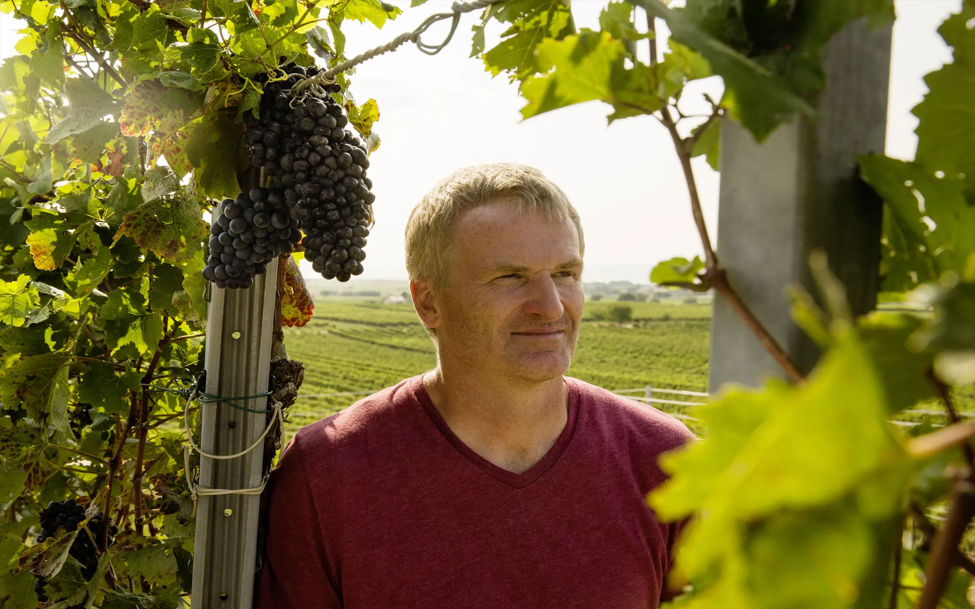 Winzer des Weingut Paul Achs in Österreich, Burgenland