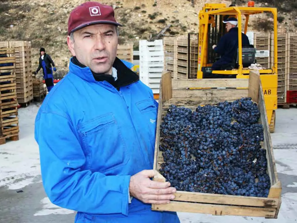 Winzer des Weingut Stefano Accordini in Italien, Venetien