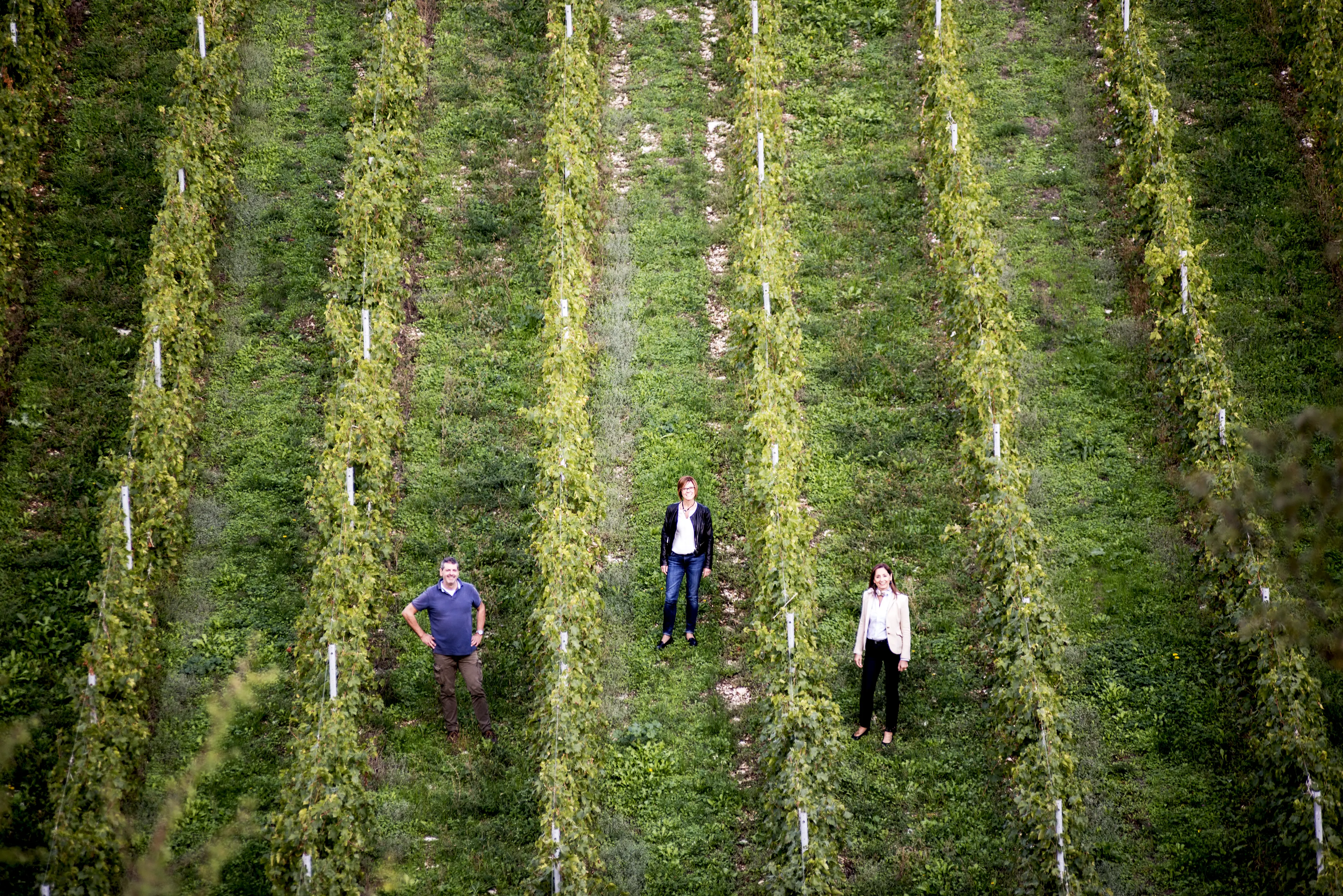 Winzer des Weingut Tedeschi in Italien, Venetien