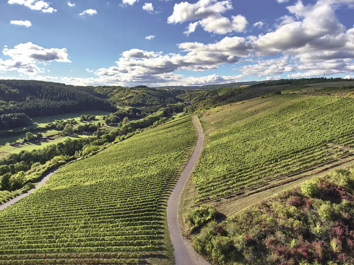 Weinberge in Deutschland, Nahe – Herkunft der Weingut Prinz Salm Weine