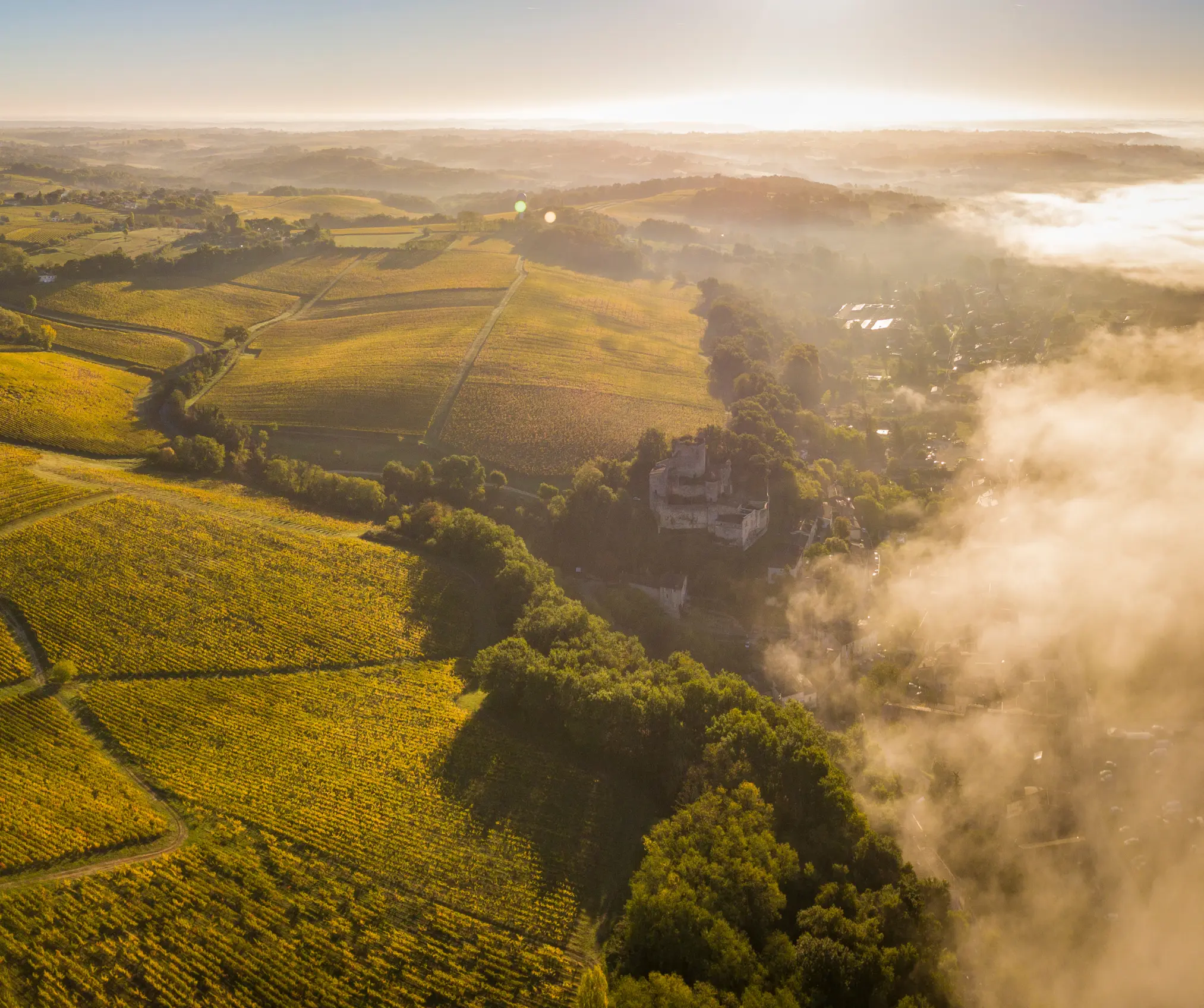 Weinberge in Frankreich, Bordeaux – Herkunft der Château de Beaulieu Weine