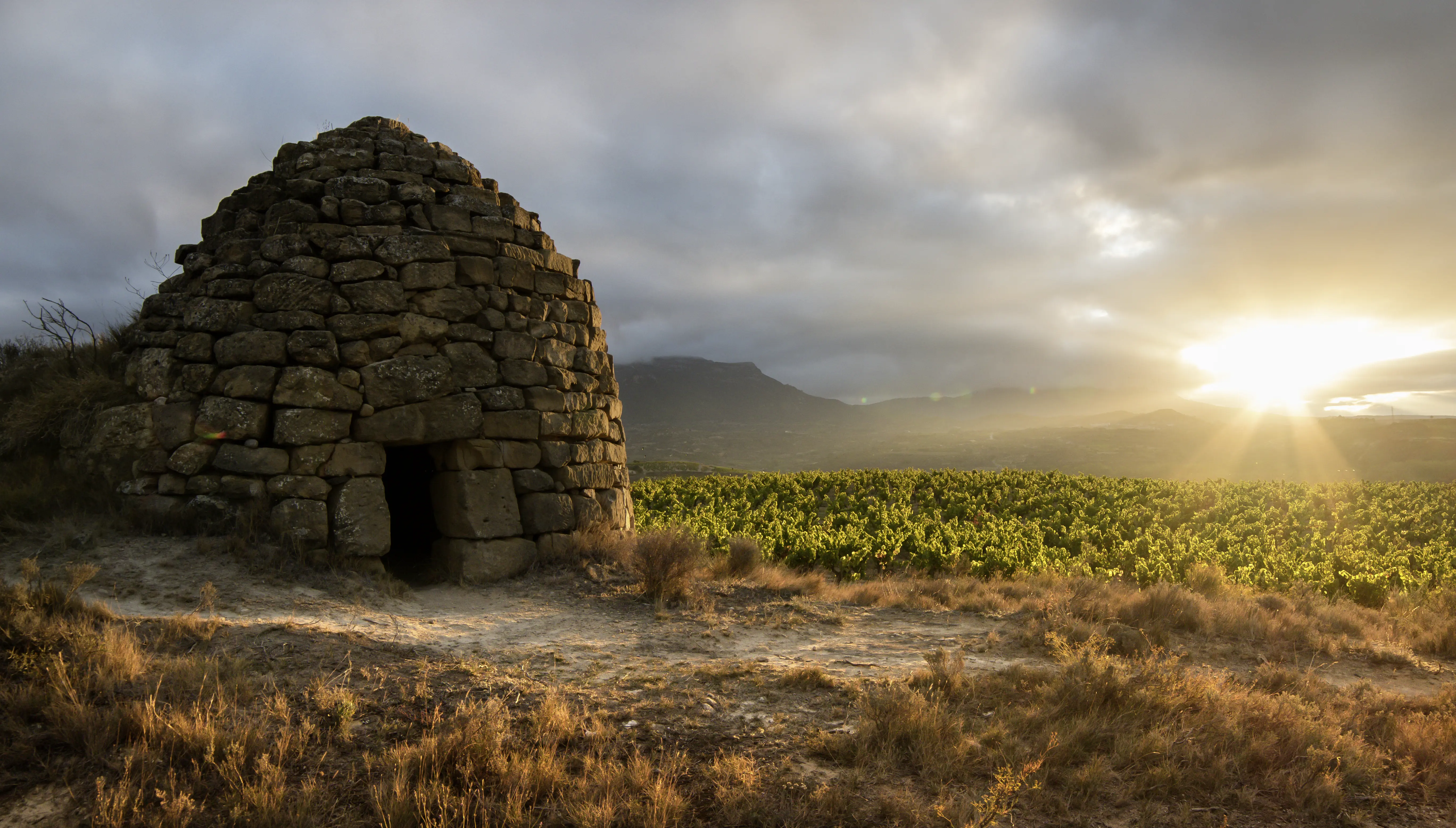 Weinberge in Spanien, Rioja – Herkunft der Bodegas Roda Weine