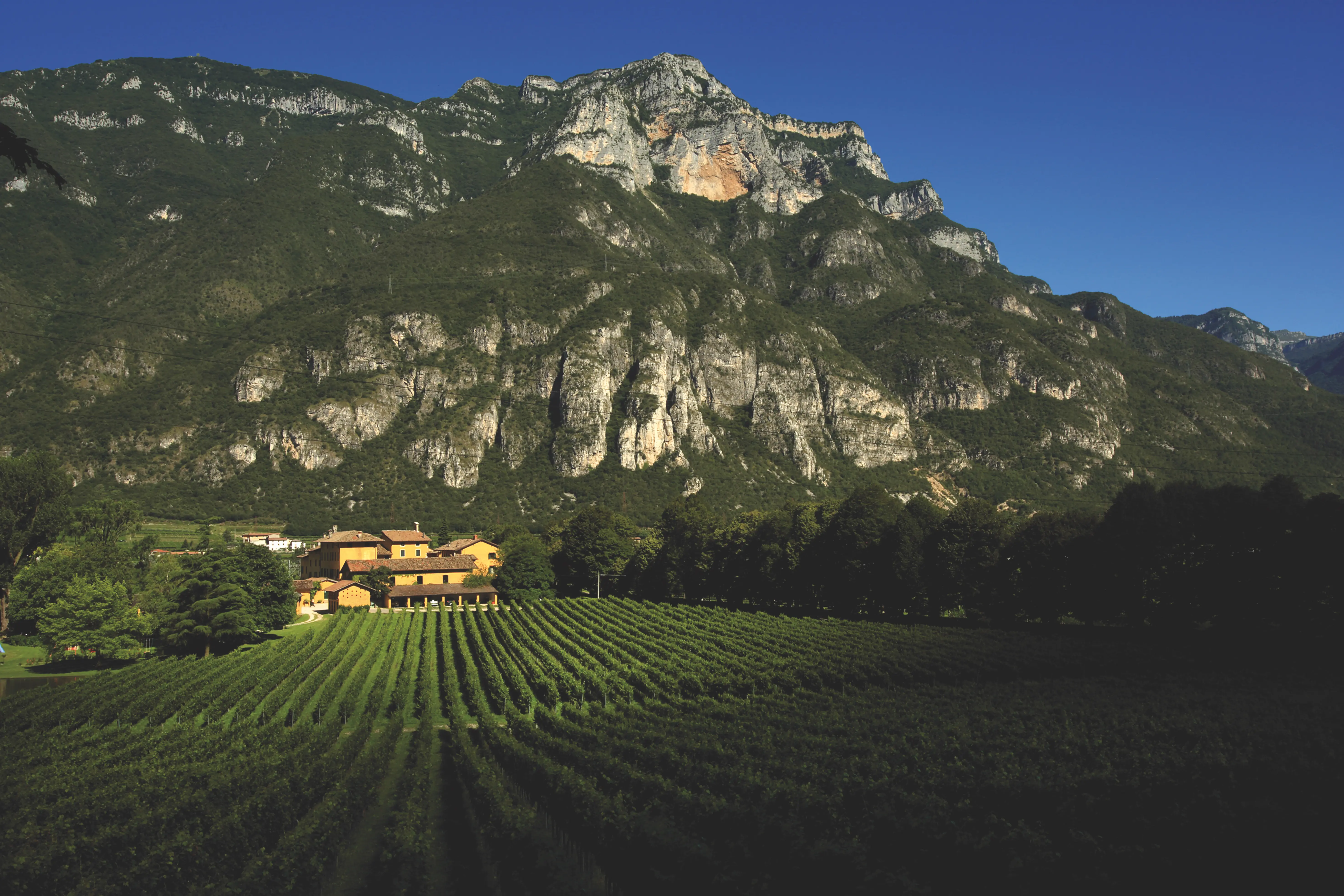 Weinberge in Italien, Südtirol – Herkunft der San Leonardo Weine