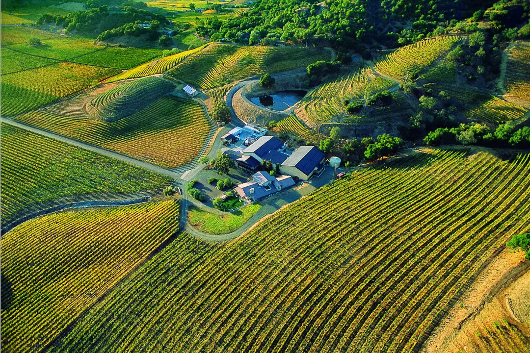 Weinberge in USA, Kalifornien – Herkunft der Shafer Vineyards Weine