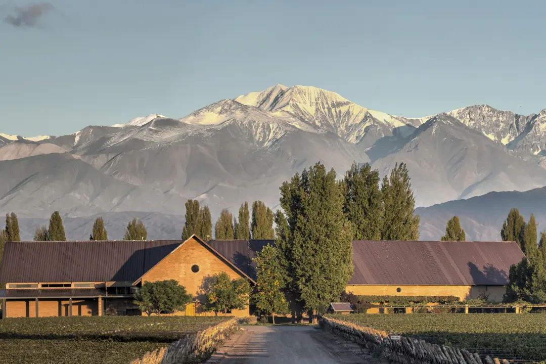 Weinberge in Argentinien, Mendoza – Herkunft der Susana Balbo Wines Weine