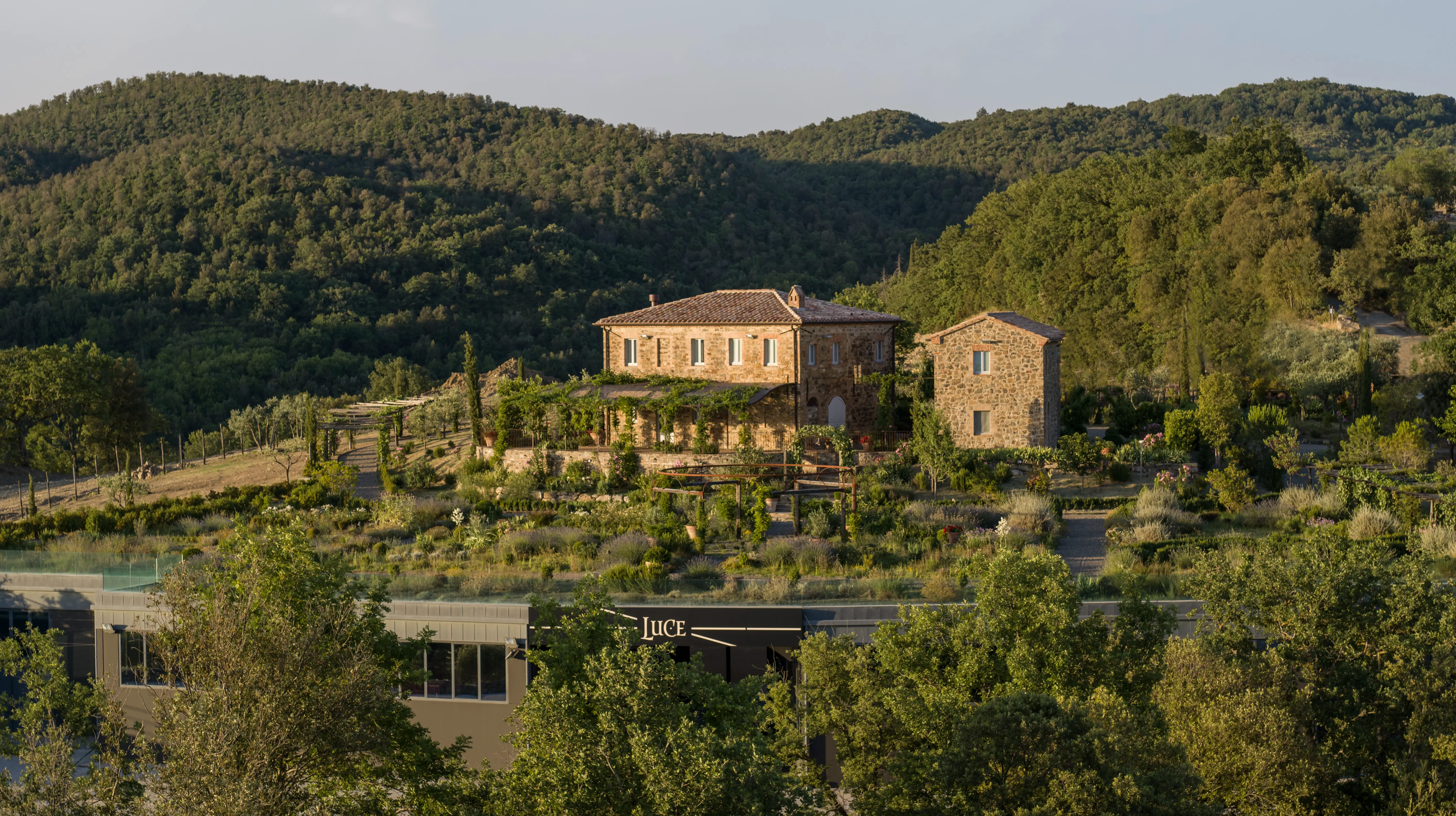 Weinberge in Italien, Toskana – Herkunft der Tenuta Luce Weine