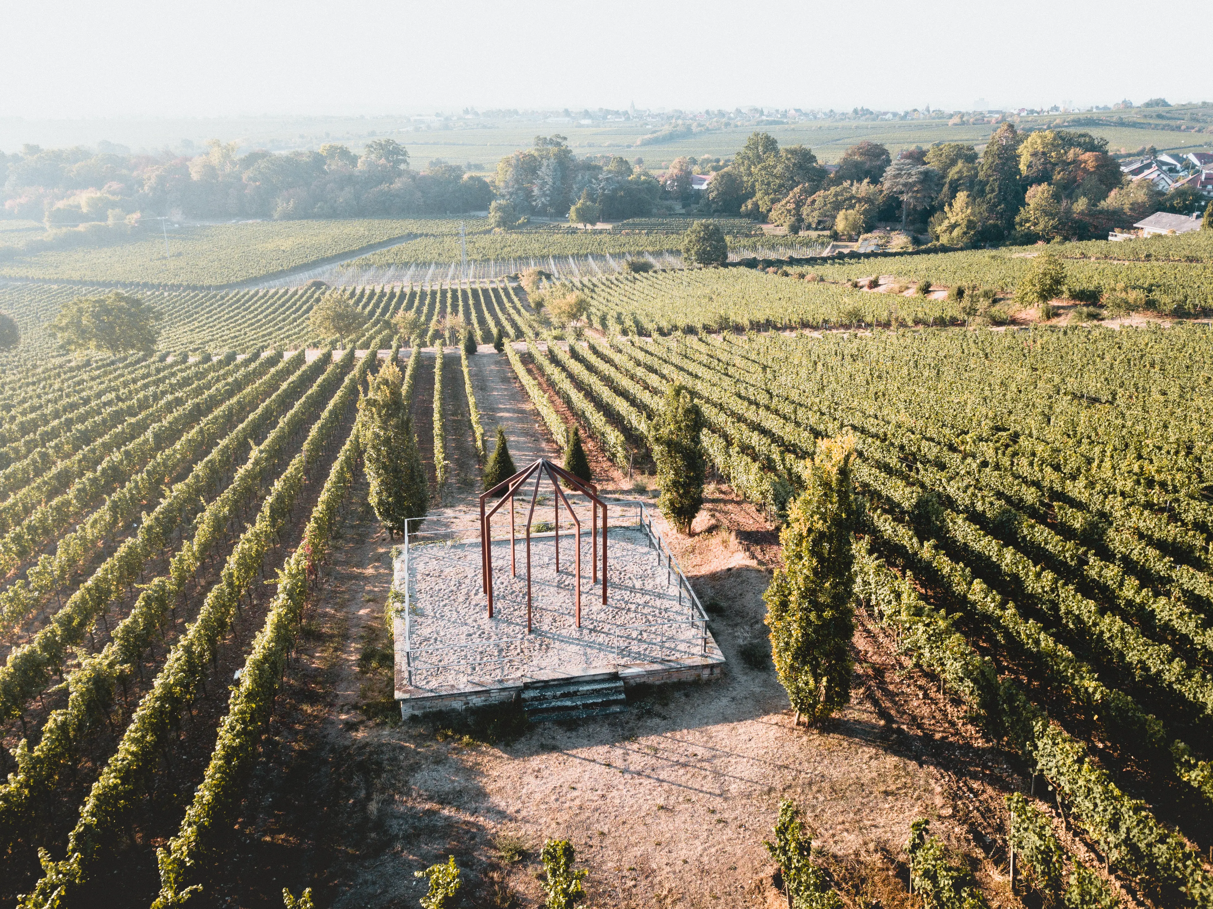 Weinberge in Deutschland, Pfalz – Herkunft der Weingut A. Christmann Weine