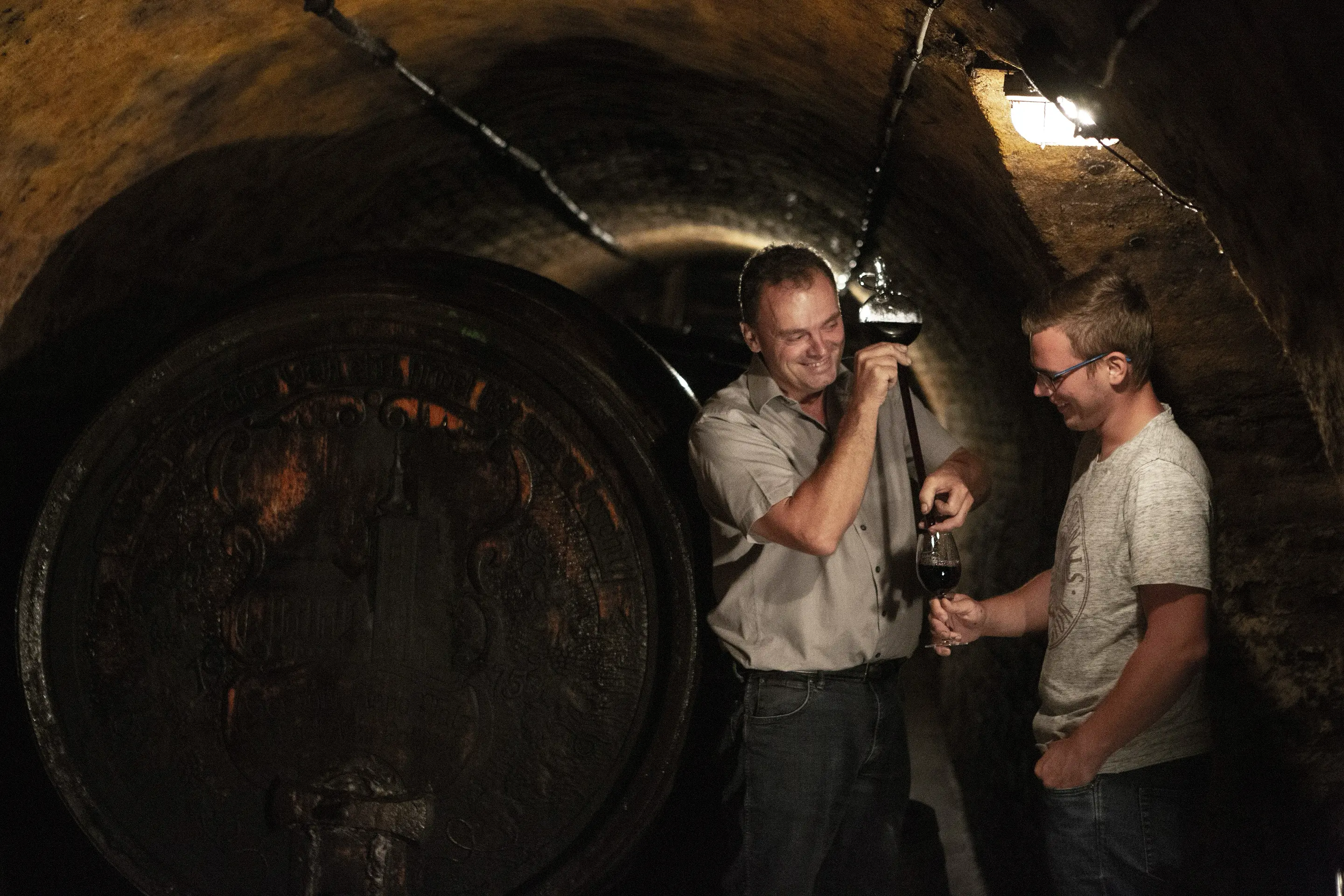 Winzer des Weingut Winzerfamilie Pfalz in Österreich, Weinviertel